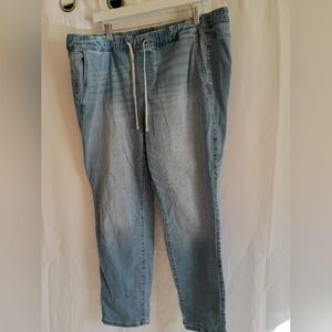 Torrid Women's Light Blue Torrid Feel The Fit 2S Or About 18 Short Jeans.